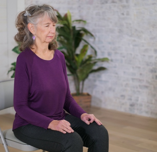 vishoka-meditation-teacher-training-about vishoka meditation intro image - Himalayan Institute